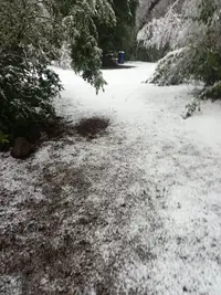 Terreno en Achibueno — miniatura 1