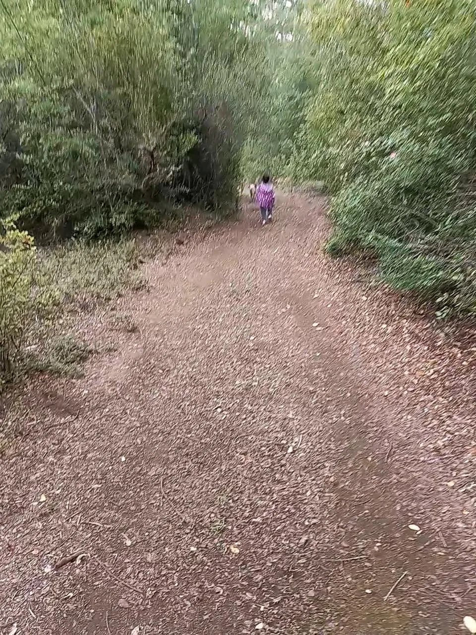 Terreno en Achibueno — foto 5