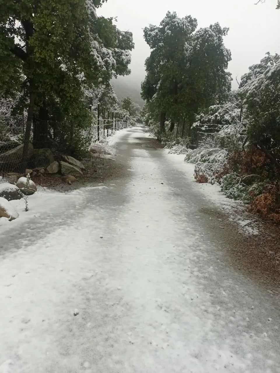 Terreno en Achibueno — foto 6