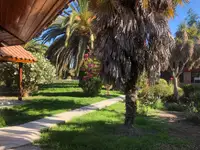 Parcela de 5.000 m² con casa, piscina y quincho en Isla de Maipo — miniatura 8