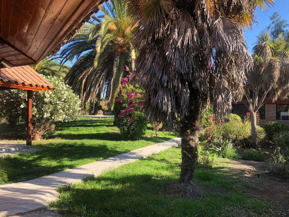 Parcela de 5.000 m² con casa, piscina y quincho en Isla de Maipo — foto 8
