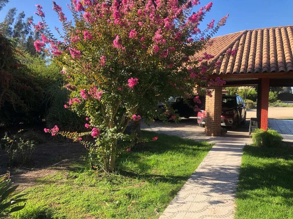 Parcela de 5.000 m² con casa, piscina y quincho en Isla de Maipo — foto 12