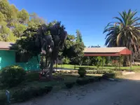 Parcela de 5.000 m² con casa, piscina y quincho en Isla de Maipo — miniatura 13