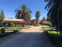 Parcela de 5.000 m² con casa, piscina y quincho en Isla de Maipo — miniatura 15