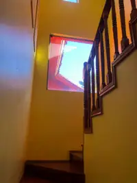 Parcela de 5.000 m² con casa, piscina y quincho en Isla de Maipo — miniatura 21